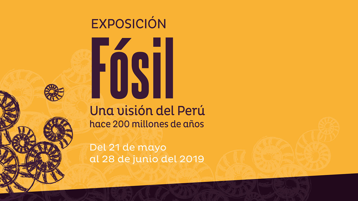PETROPERU opens FOSSIL exposure in the Grau House Museum
