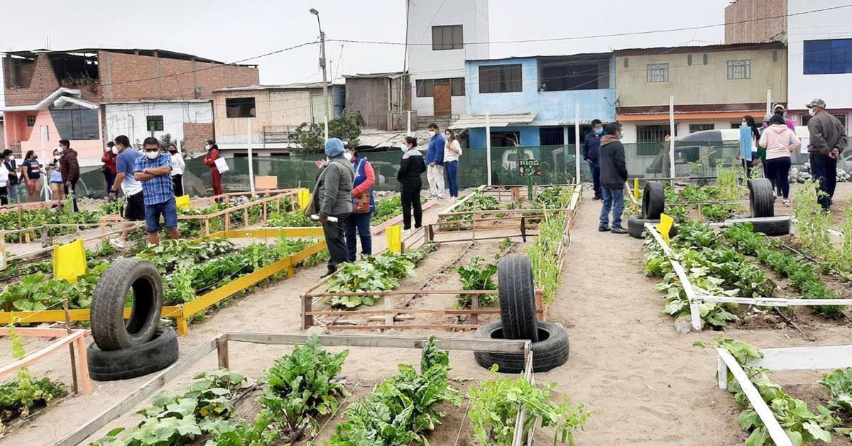 We implement urban bio-gardens near the Conchán Refinery