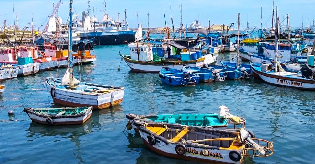 Ilo artisanal fishermen will benefit from PETROPERÚ's proposal