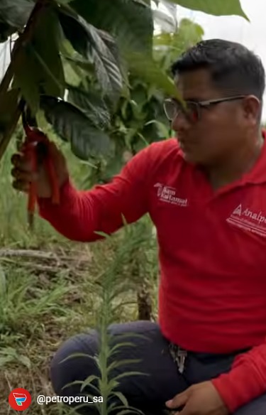 ¿Sabes cómo Petroperú trabaja junto a las comunidades de la Amazonía? -