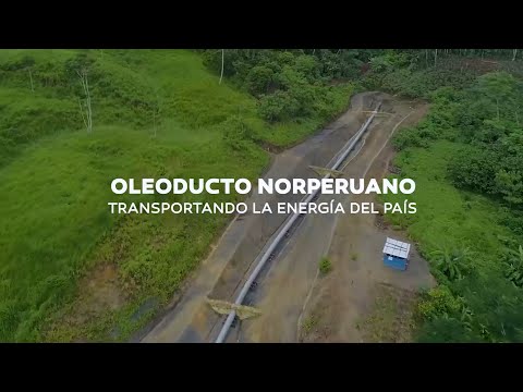 Construcción de puente colgante en el km 484 del tramo II del Oleoducto Norperuano