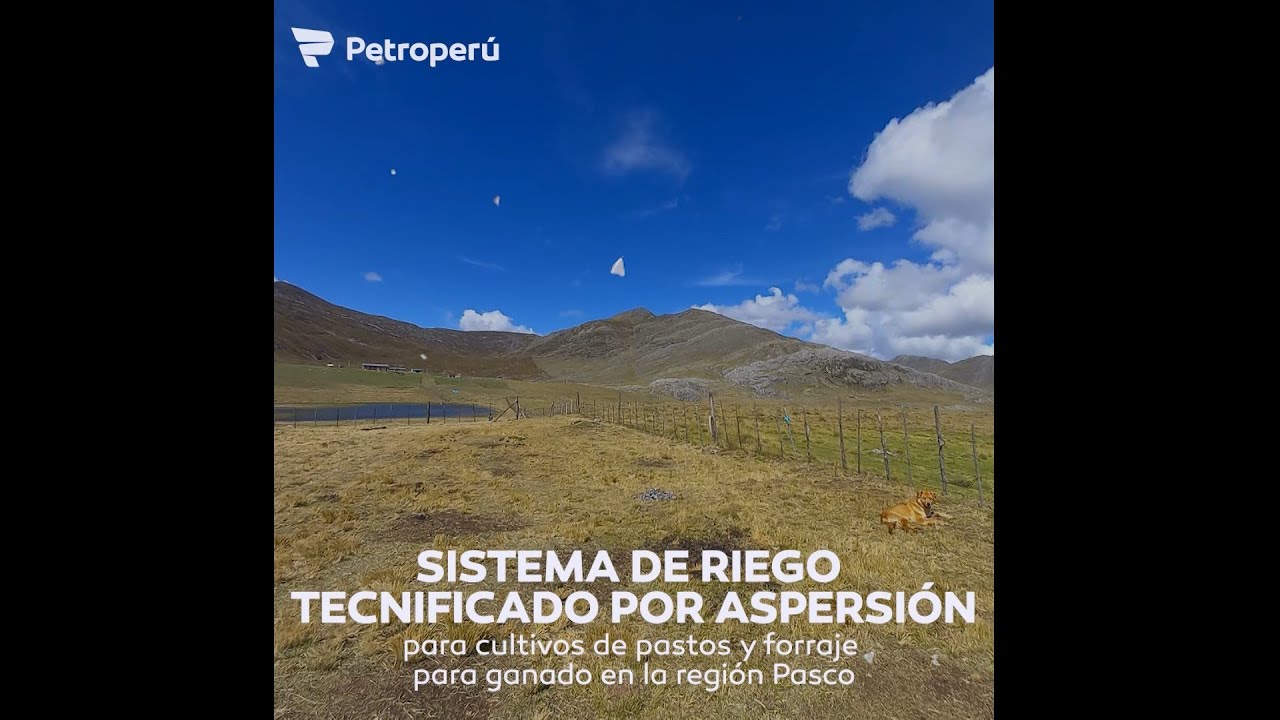 Conoce el nuevo sistema de riego implementado en Pasco