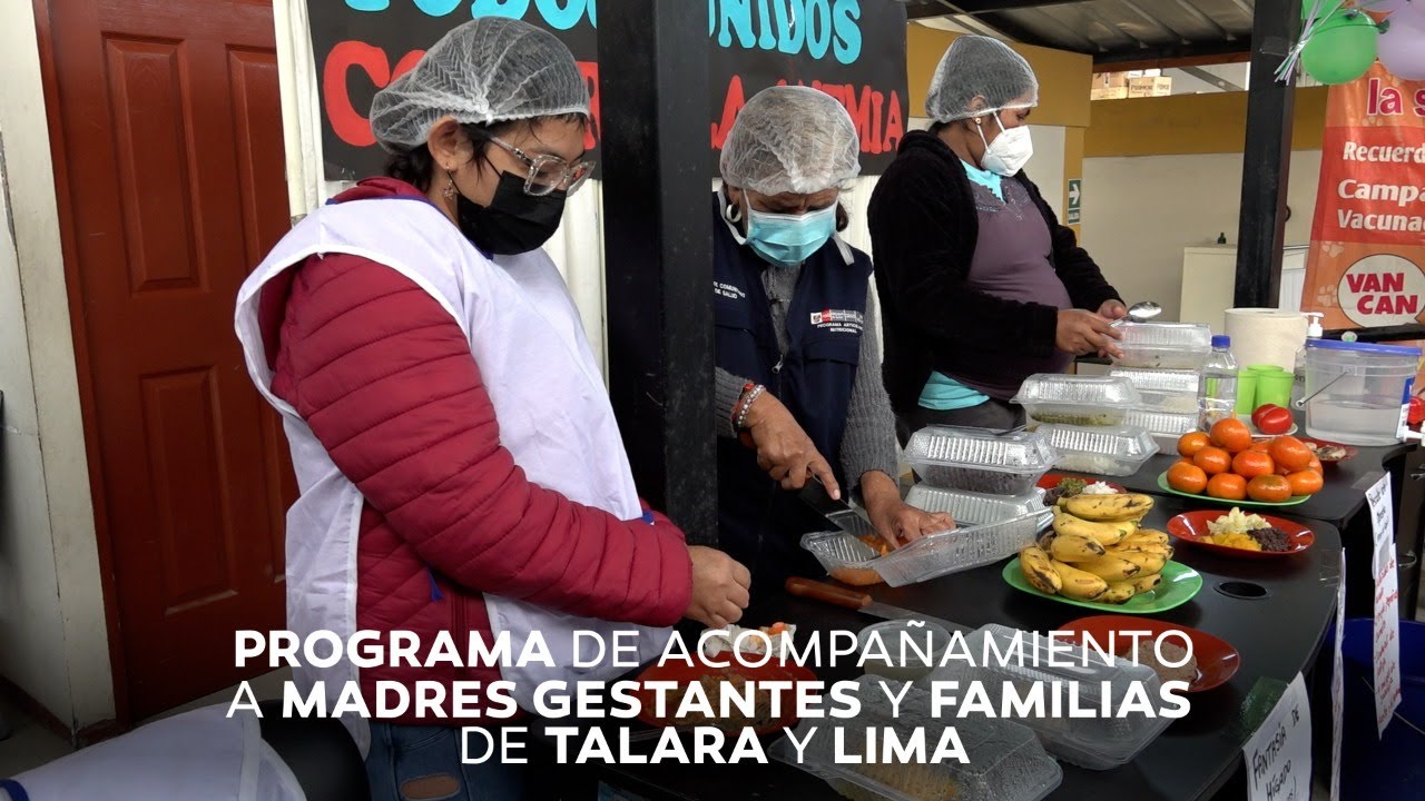 Programa Madres Gestantes - Campaña social contra la anemia