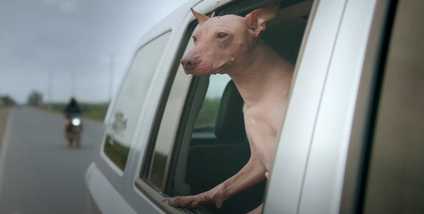 El Perú se merece un combustible más limpio