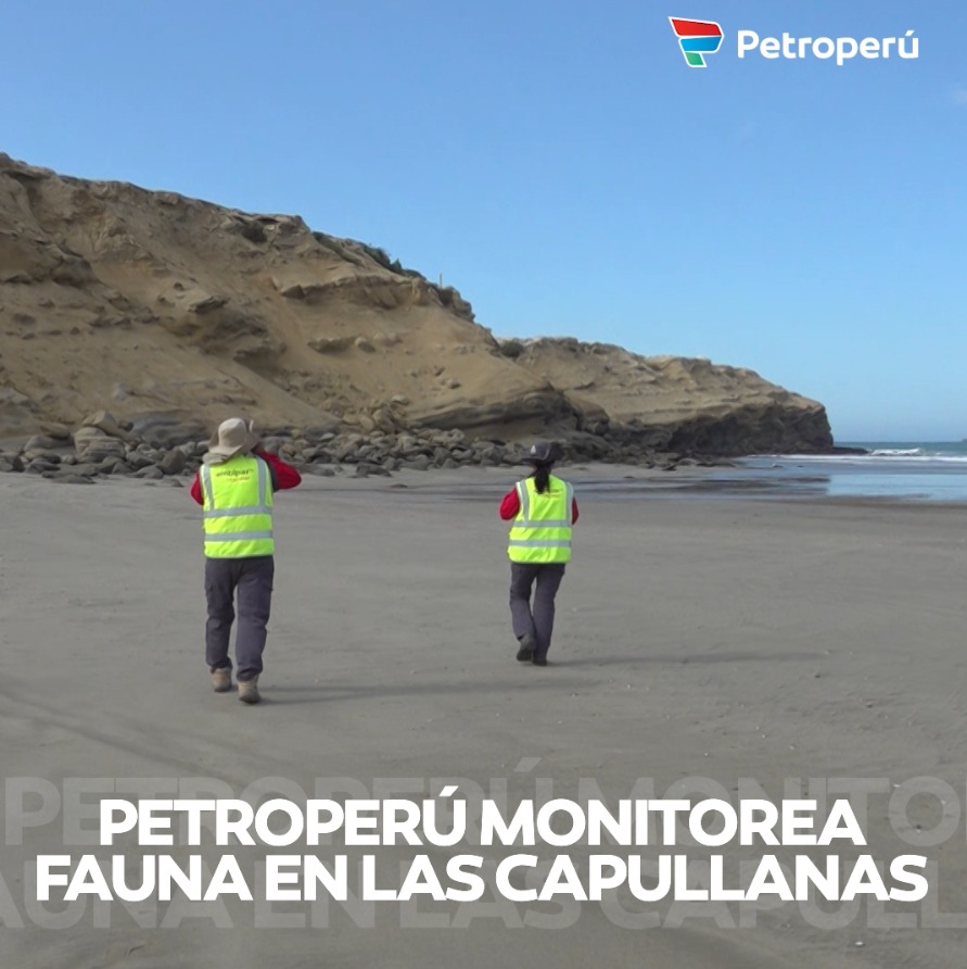 Petroperú monitorea fauna en Las Capullanas