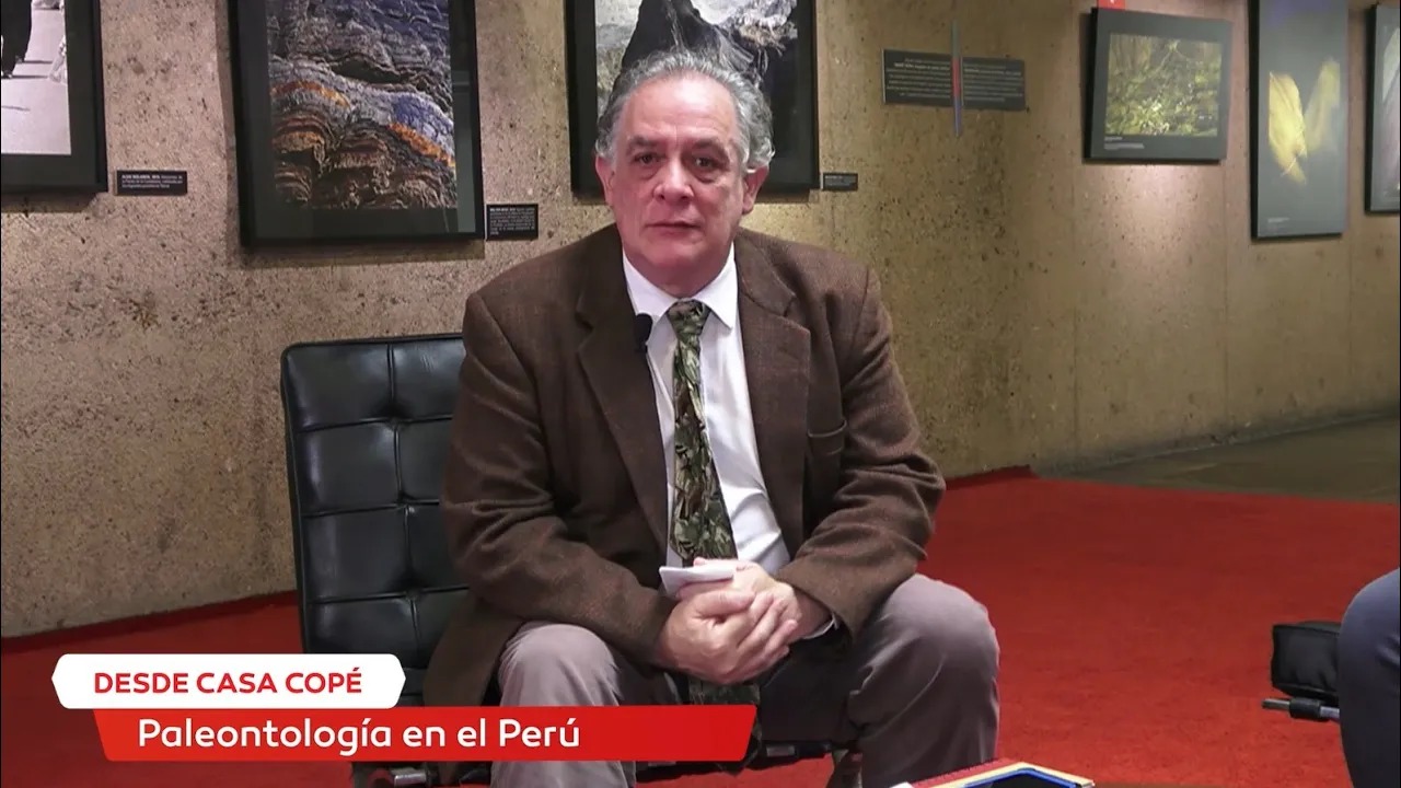 Paleontología en el Perú